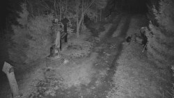 Bílá - běžecká trať