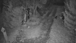 Bílá - běžecká trať