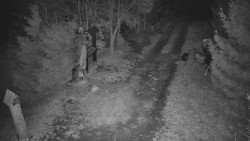 Bílá - běžecká trať