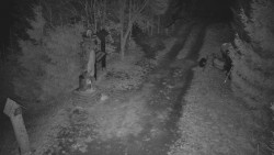 Bílá - běžecká trať