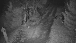 Bílá - běžecká trať