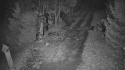 Bílá - běžecká trať