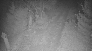 Skiareál Bílá - Bílá - běžecká trať - 16.3.2026 v 04:00 Skiareál Bílá - Bílá - běžecká trať - 16.3.2026 v 04:00