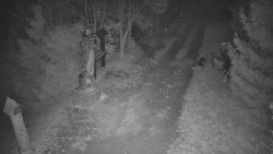 Bílá - běžecká trať