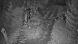 Skiareál Bílá - Bílá - běžecká trať - 16.3.2026 v 18:30 Skiareál Bílá - Bílá - běžecká trať - 16.3.2026 v 18:30