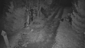 Skiareál Bílá - Bílá - běžecká trať - 16.3.2026 v 19:00 Skiareál Bílá - Bílá - běžecká trať - 16.3.2026 v 19:00