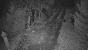 Skiareál Bílá - Bílá - běžecká trať - 16.3.2026 v 20:30 Skiareál Bílá - Bílá - běžecká trať - 16.3.2026 v 20:30