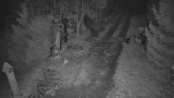 Bílá - běžecká trať