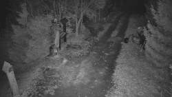 Bílá - běžecká trať