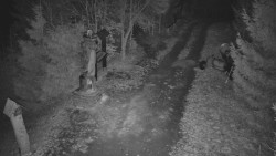 Bílá - běžecká trať