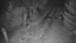 Bílá - běžecká trať