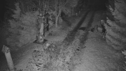 Bílá - běžecká trať