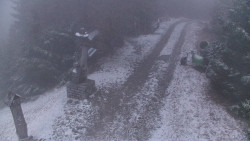 Bílá - běžecká trať