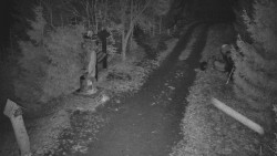 Bílá - běžecká trať