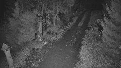 Bílá - běžecká trať