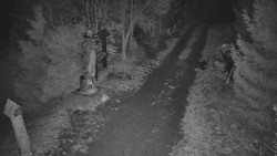 Bílá - běžecká trať