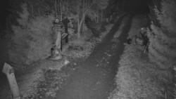 Bílá - běžecká trať