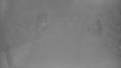 Bílá - běžecká trať