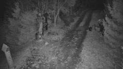 Bílá - běžecká trať