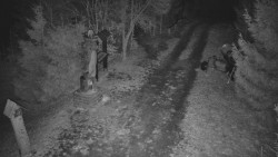 Bílá - běžecká trať