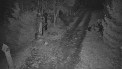 Bílá - běžecká trať