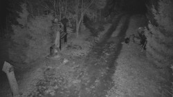 Bílá - běžecká trať