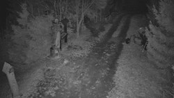 Bílá - běžecká trať