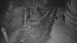 Bílá - běžecká trať