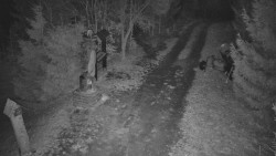 Bílá - běžecká trať