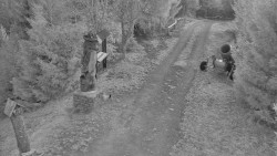 Bílá - běžecká trať