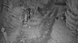 Bílá - běžecká trať