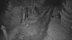 Bílá - běžecká trať