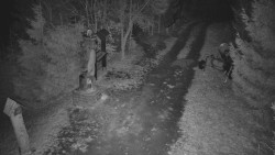 Bílá - běžecká trať