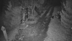 Bílá - běžecká trať