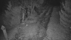 Bílá - běžecká trať