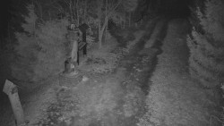 Bílá - běžecká trať