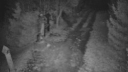 Bílá - běžecká trať