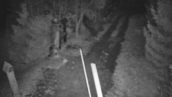 Bílá - běžecká trať