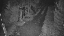 Bílá - běžecká trať