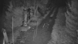 Bílá - běžecká trať