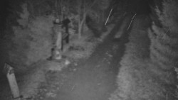 Bílá - běžecká trať