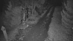 Bílá - běžecká trať