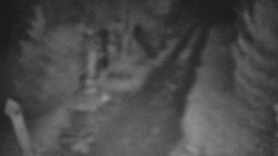 Bílá - běžecká trať