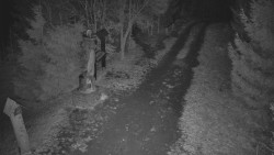 Bílá - běžecká trať