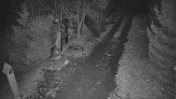 Bílá - běžecká trať