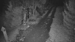 Bílá - běžecká trať