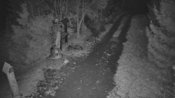 Bílá - běžecká trať