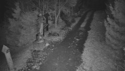 Bílá - běžecká trať