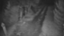 Bílá - běžecká trať