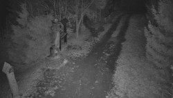 Bílá - běžecká trať